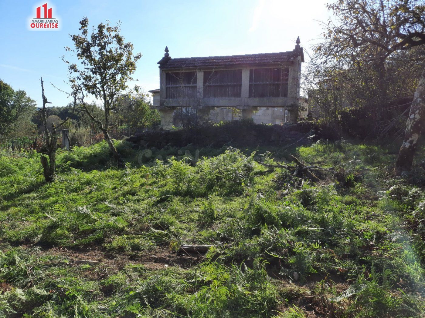 SE VENDE CASA PARA REFORMAR EN LA ZONA DE AMOEIRO - foto 4