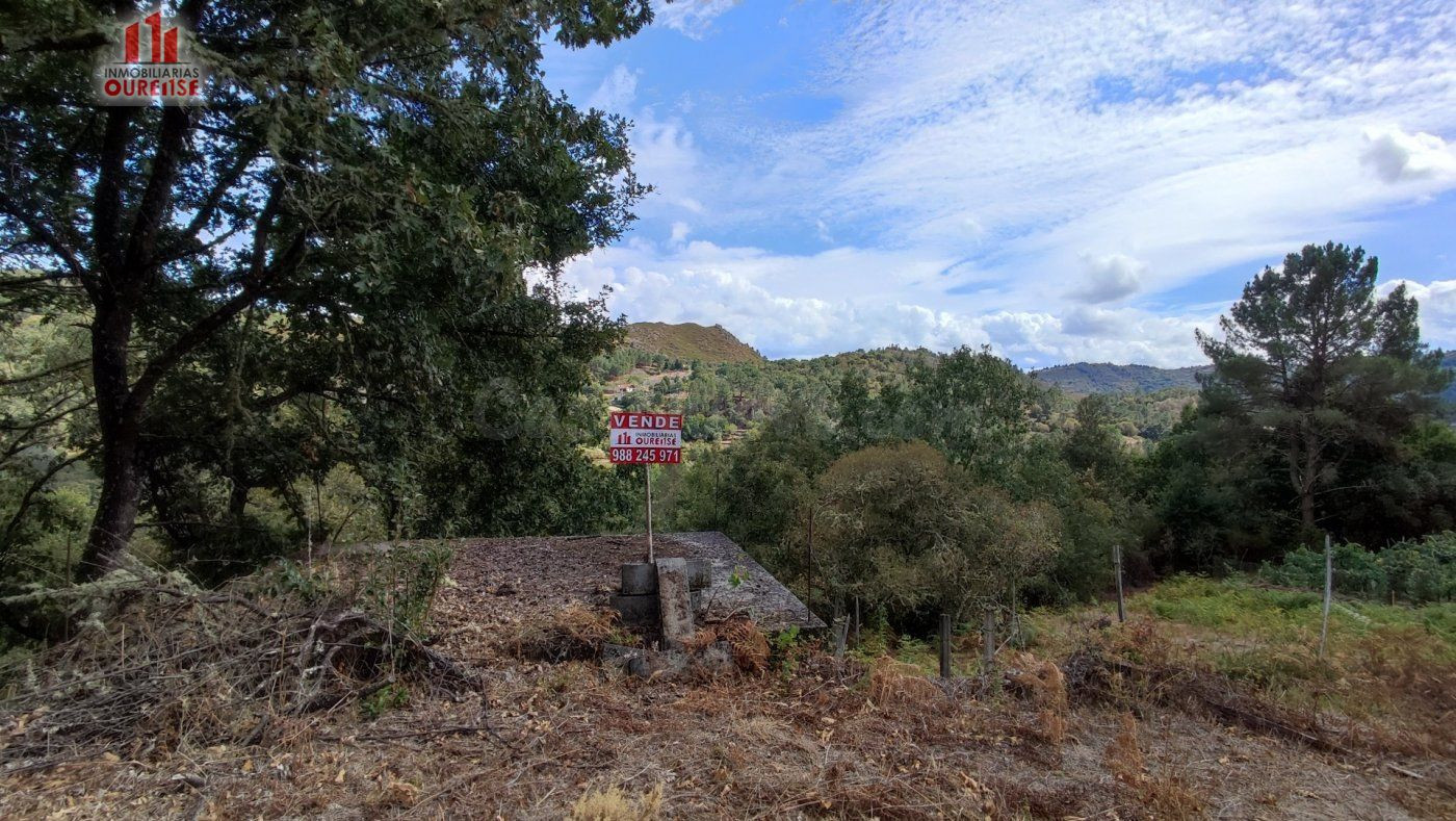 FINCA RUSTICA CON GALPON EN LA ZONA DE CASTRO DE BEIRO (AMOEIRO)