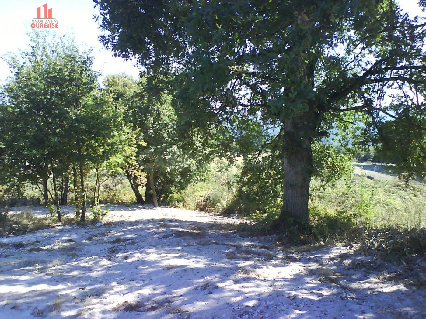 SE VENDE FINCA URBANIZABLE EN SAN MIGUEL DO CAMPO - foto 2