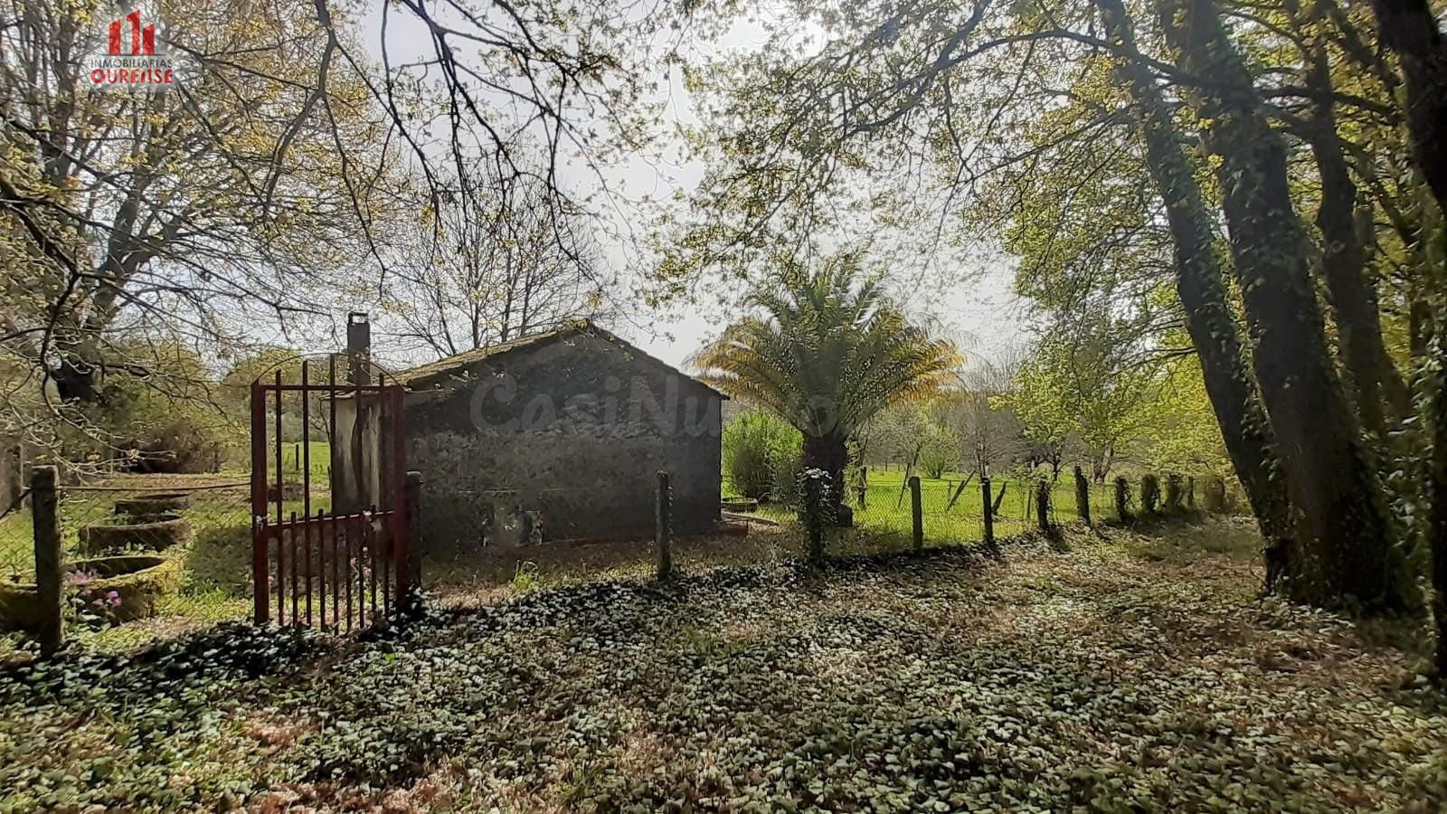 FINCA RÚSTICA DE 6.000 M2 CON GALPÓN Y POZO EN COLES (OURENSE)