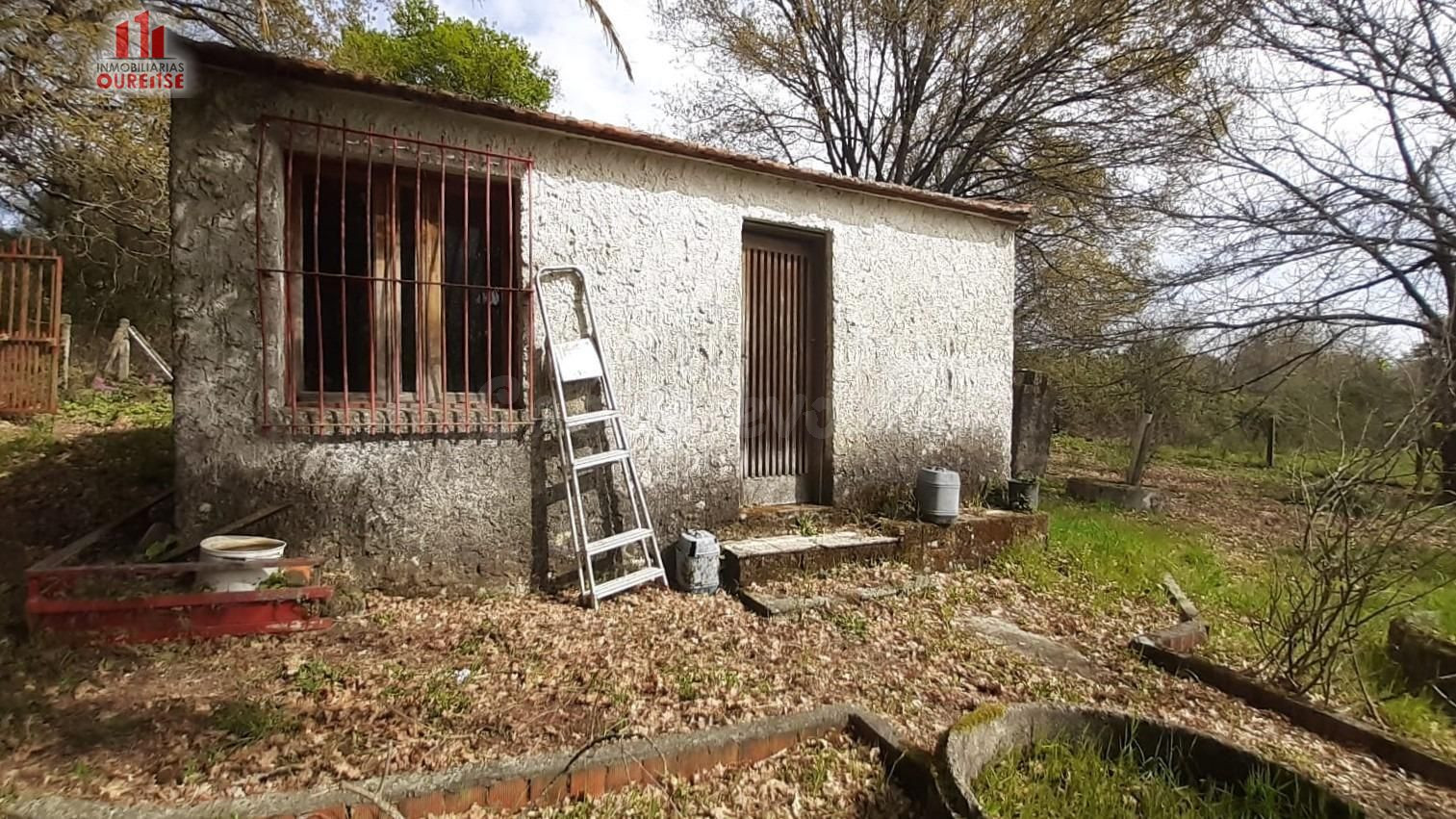 FINCA RÚSTICA DE 6.000 M2 CON GALPÓN Y POZO EN COLES (OURENS - foto 2