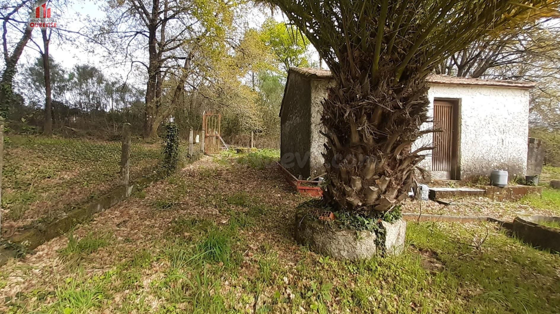 FINCA RÚSTICA DE 6.000 M2 CON GALPÓN Y POZO EN COLES (OURENS - foto 3