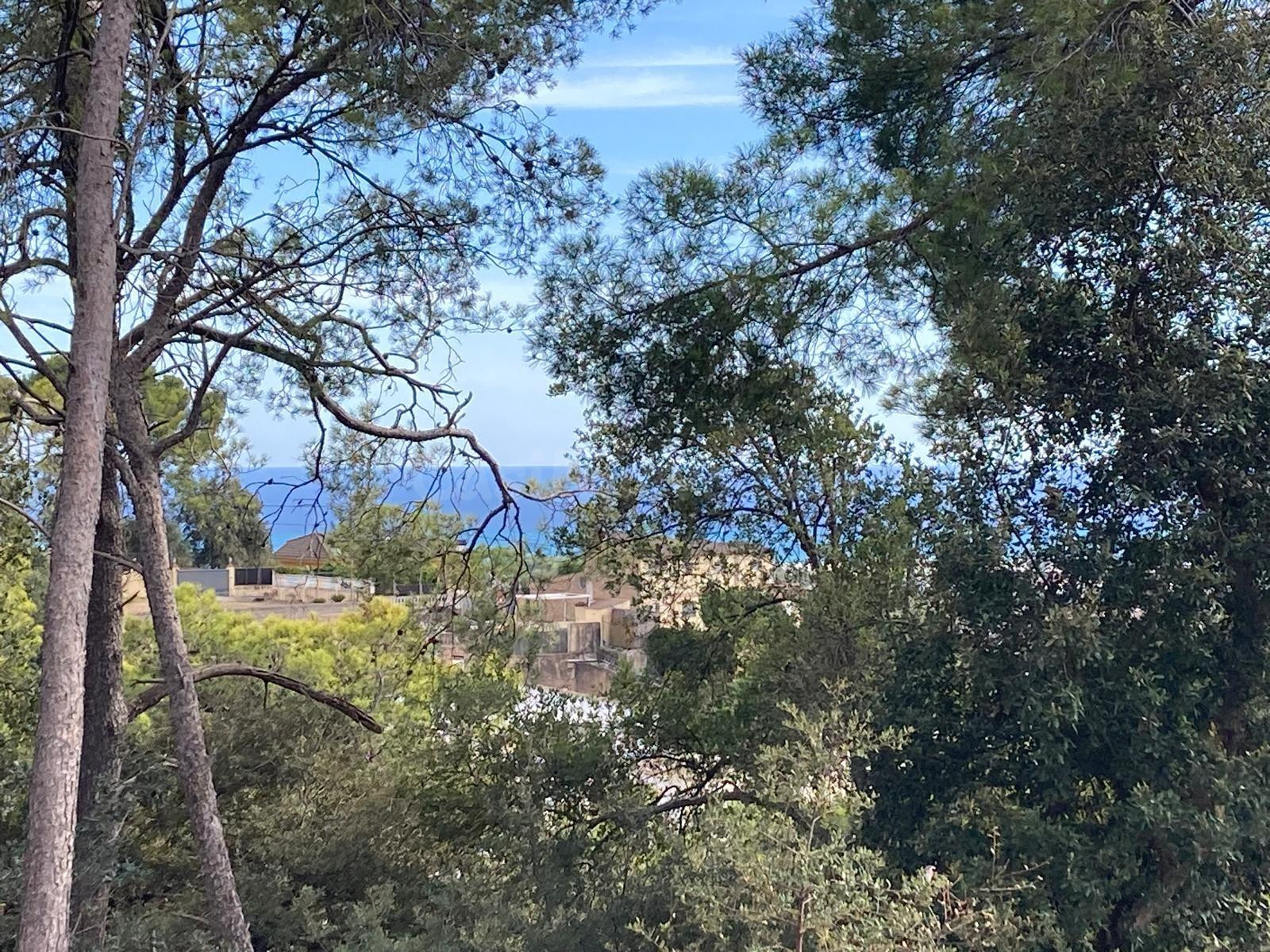 2 SOLARES EDIFICABLES EN VENTA EN SANTA SUSANNA