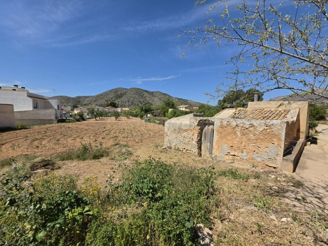 Parcela en venta - Comunidad valenciana