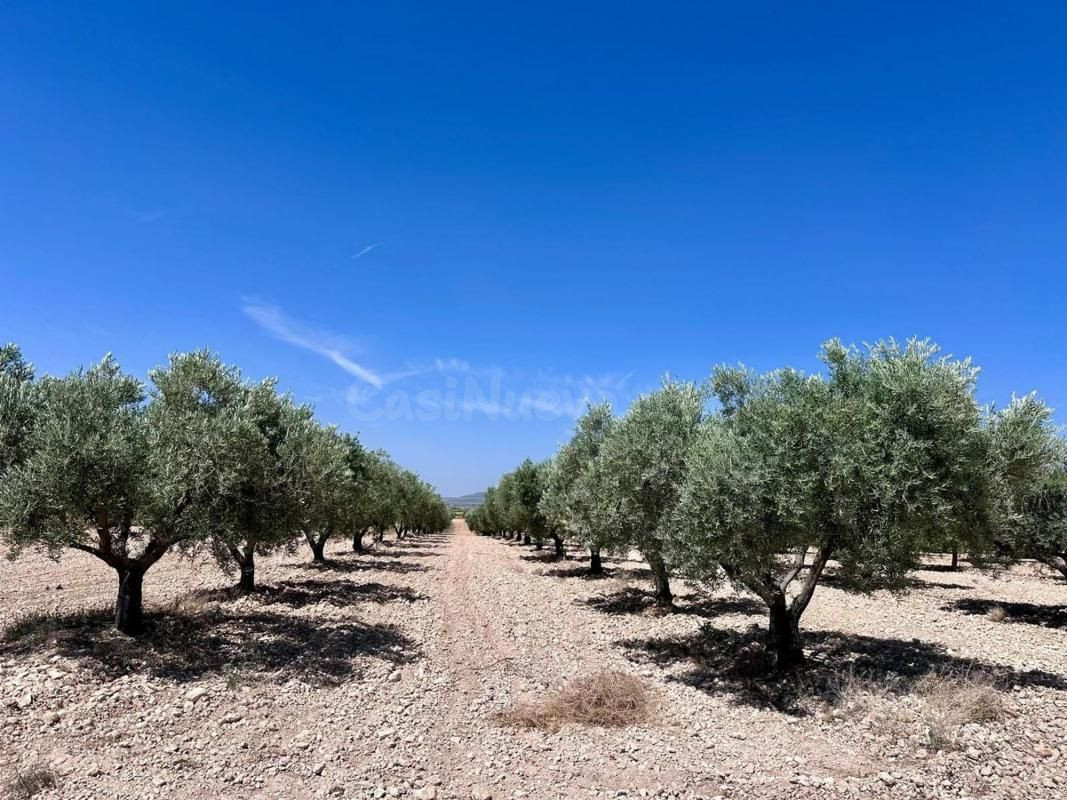 Parcela en venta - Comunidad valenciana