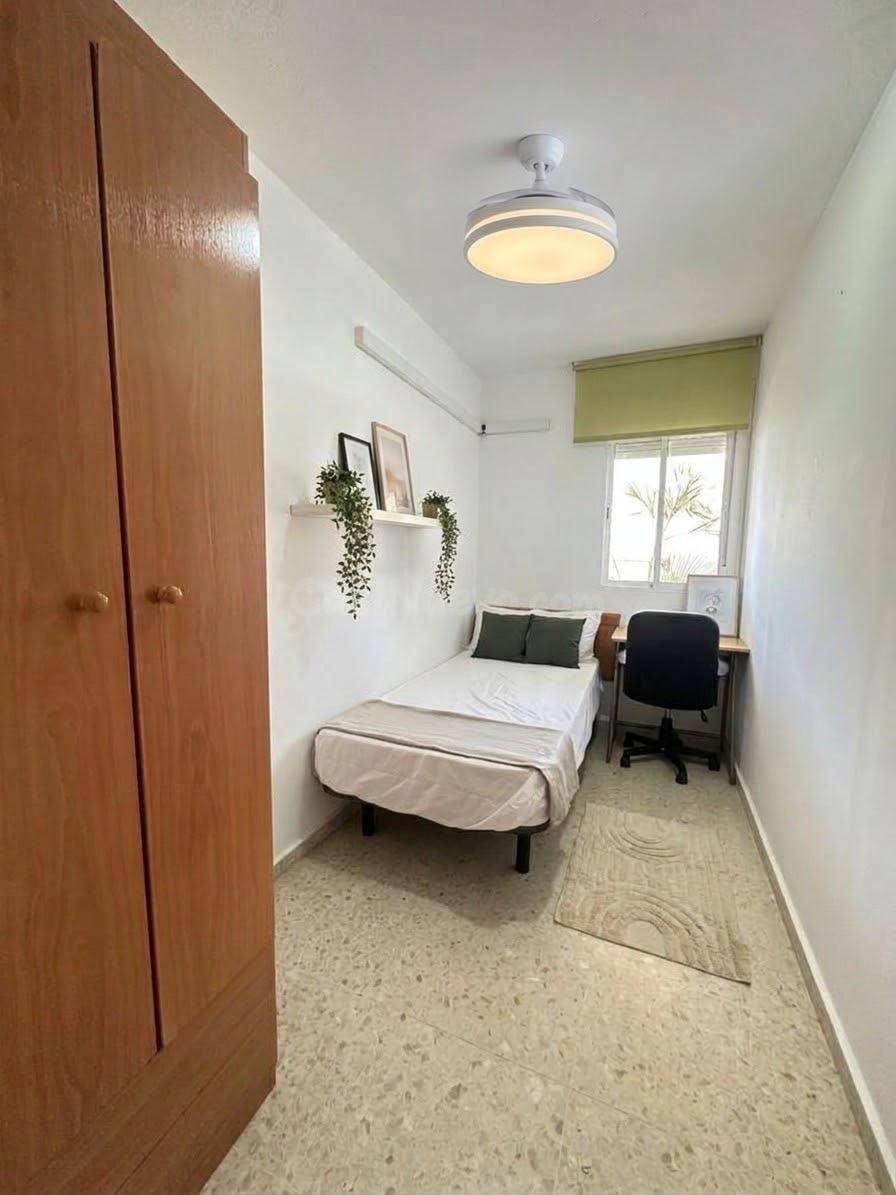 5 habitaciones EN ALQUILER – TEATINOS   Calle Esquilo 21, - Desde 375€