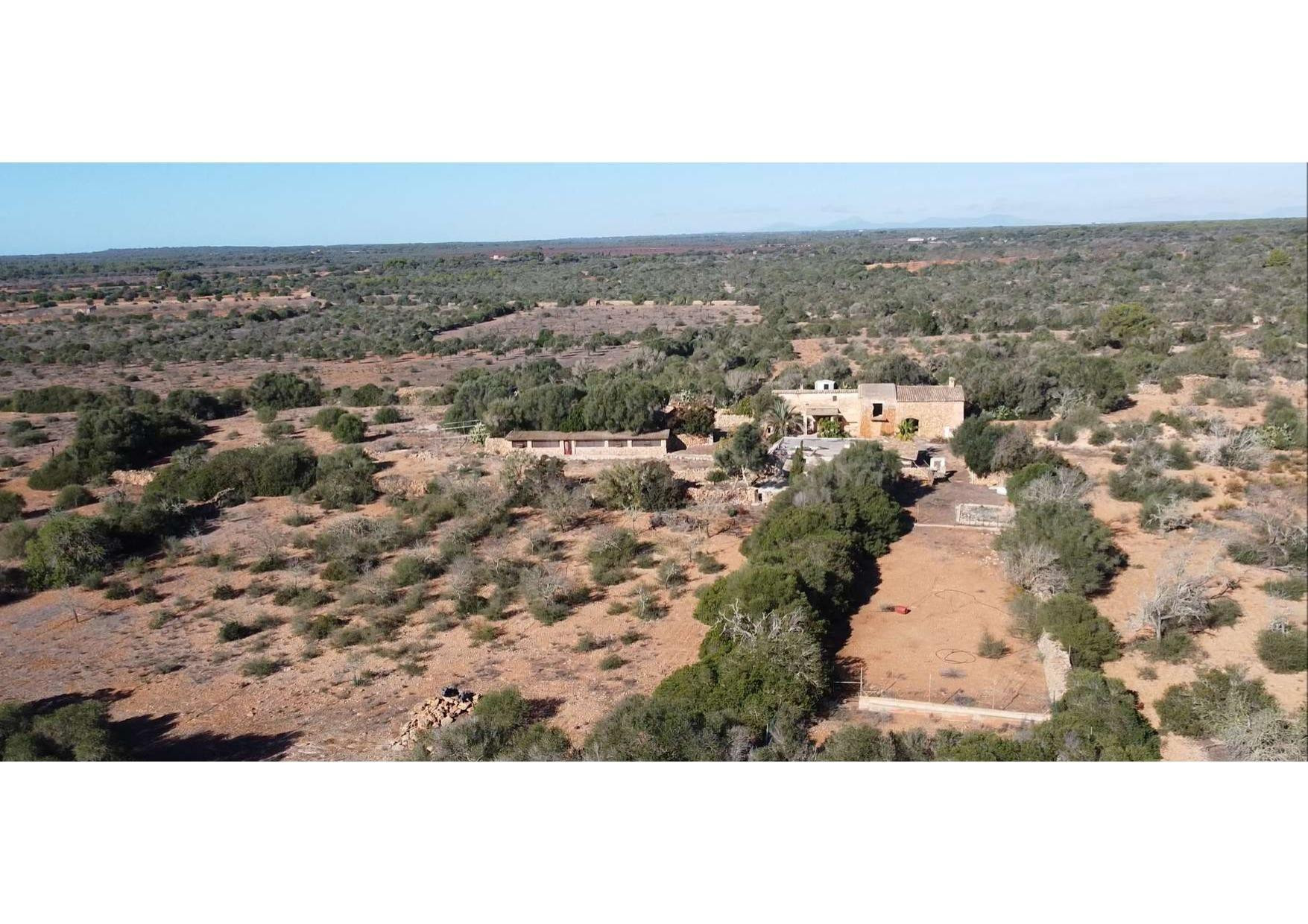 Finca rústica en venta en Llucmajor Interior - foto 3