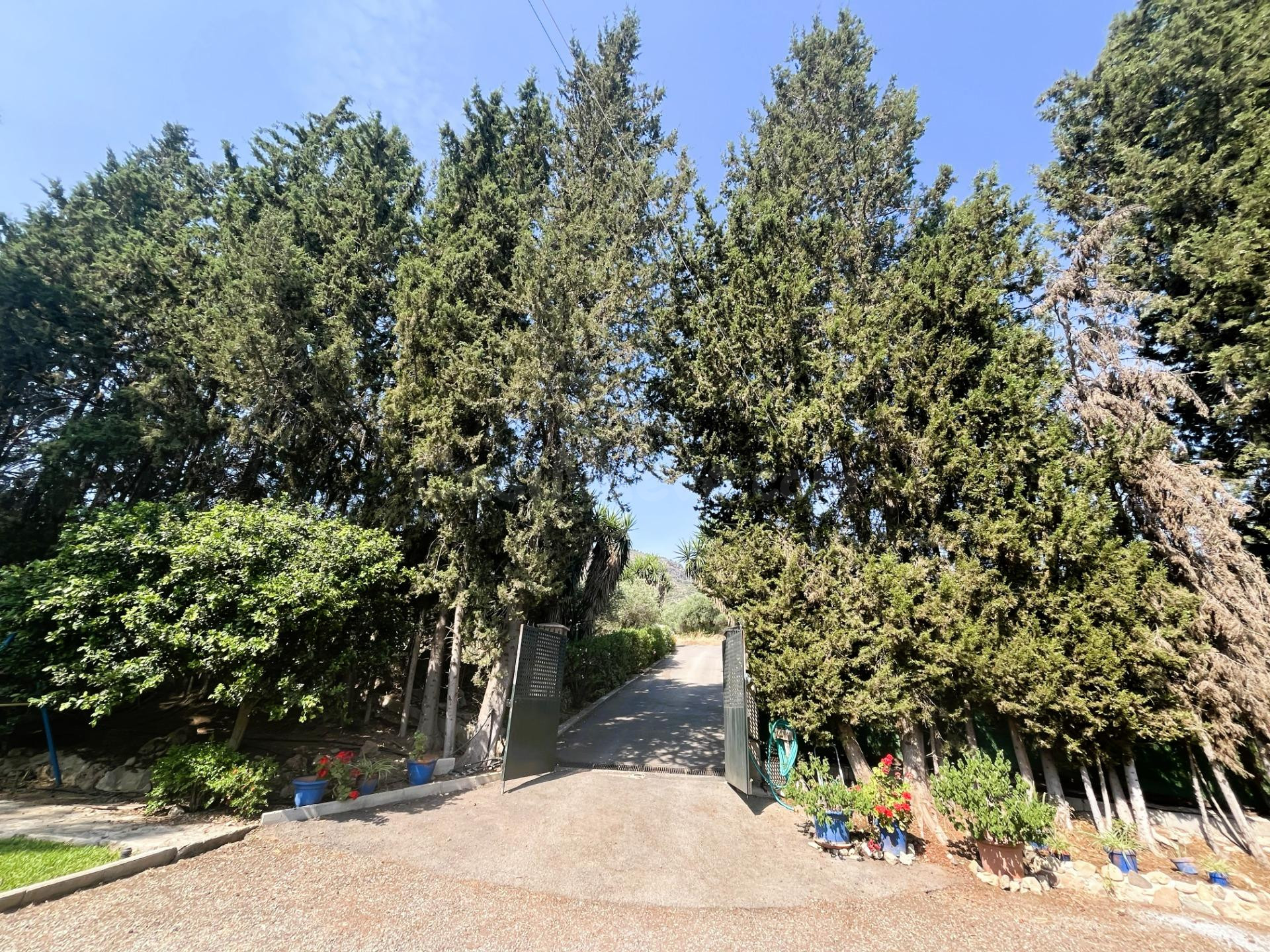 Impresionante Villa de Campo en Álora, Málaga - foto 3