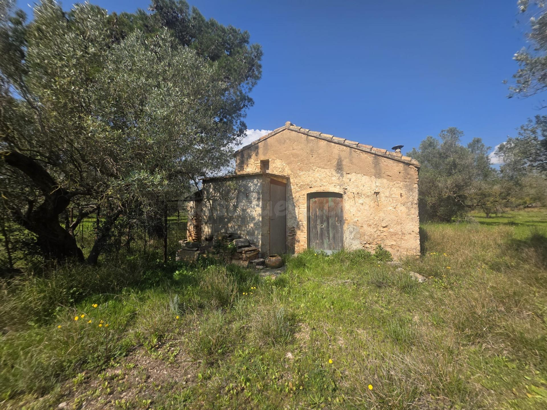 Finca rústica con granja, almacenes y casita de piedra en Pa - foto 2