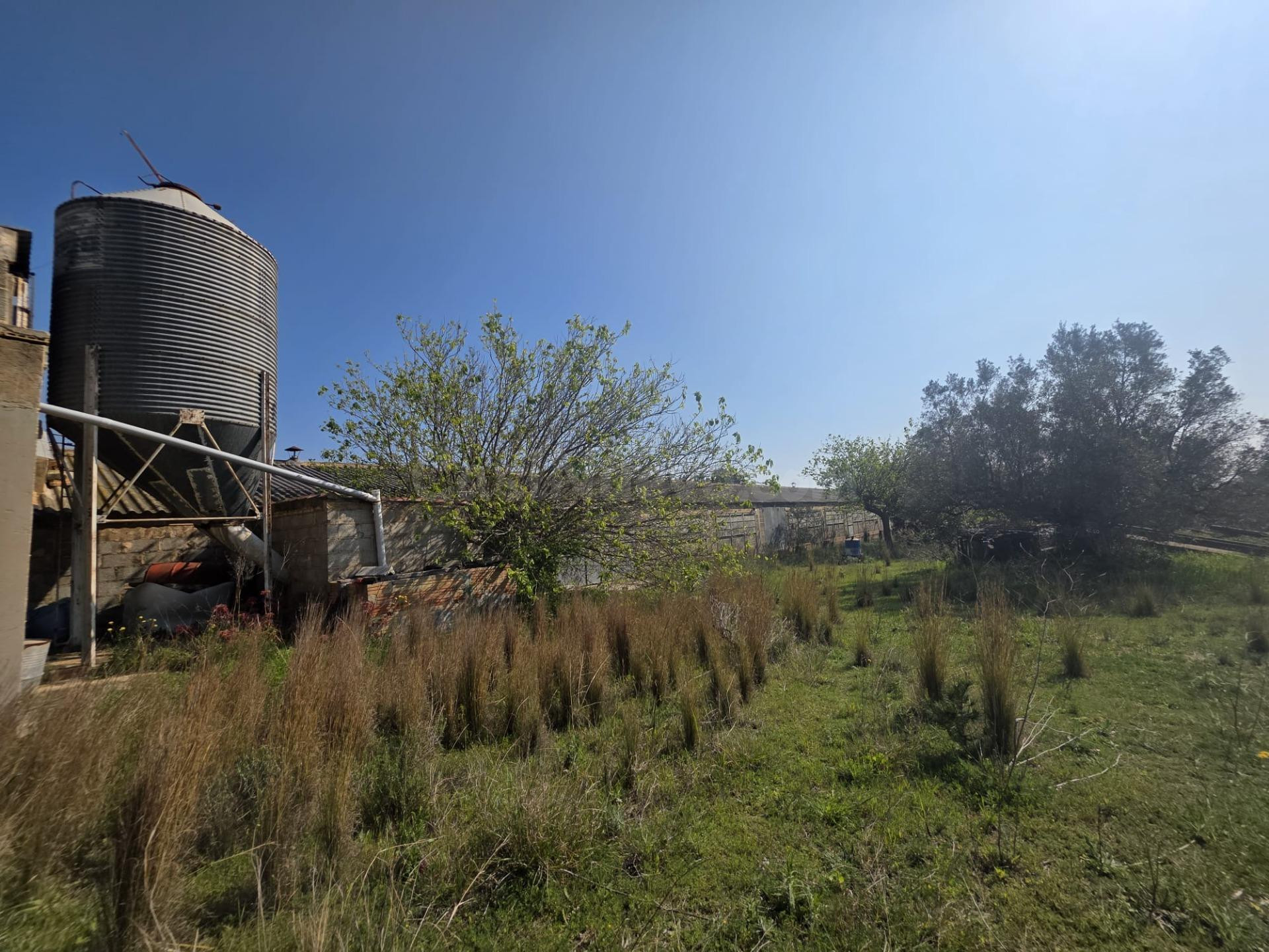 Finca rústica con granja, almacenes y casita de piedra en Pa - foto 3
