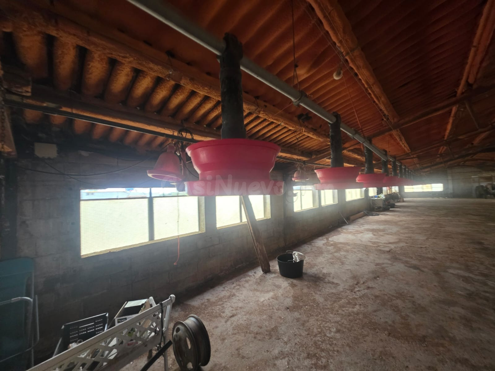 Finca rústica excepcional en venta en Santa Bàrbara – Gran p - foto 3