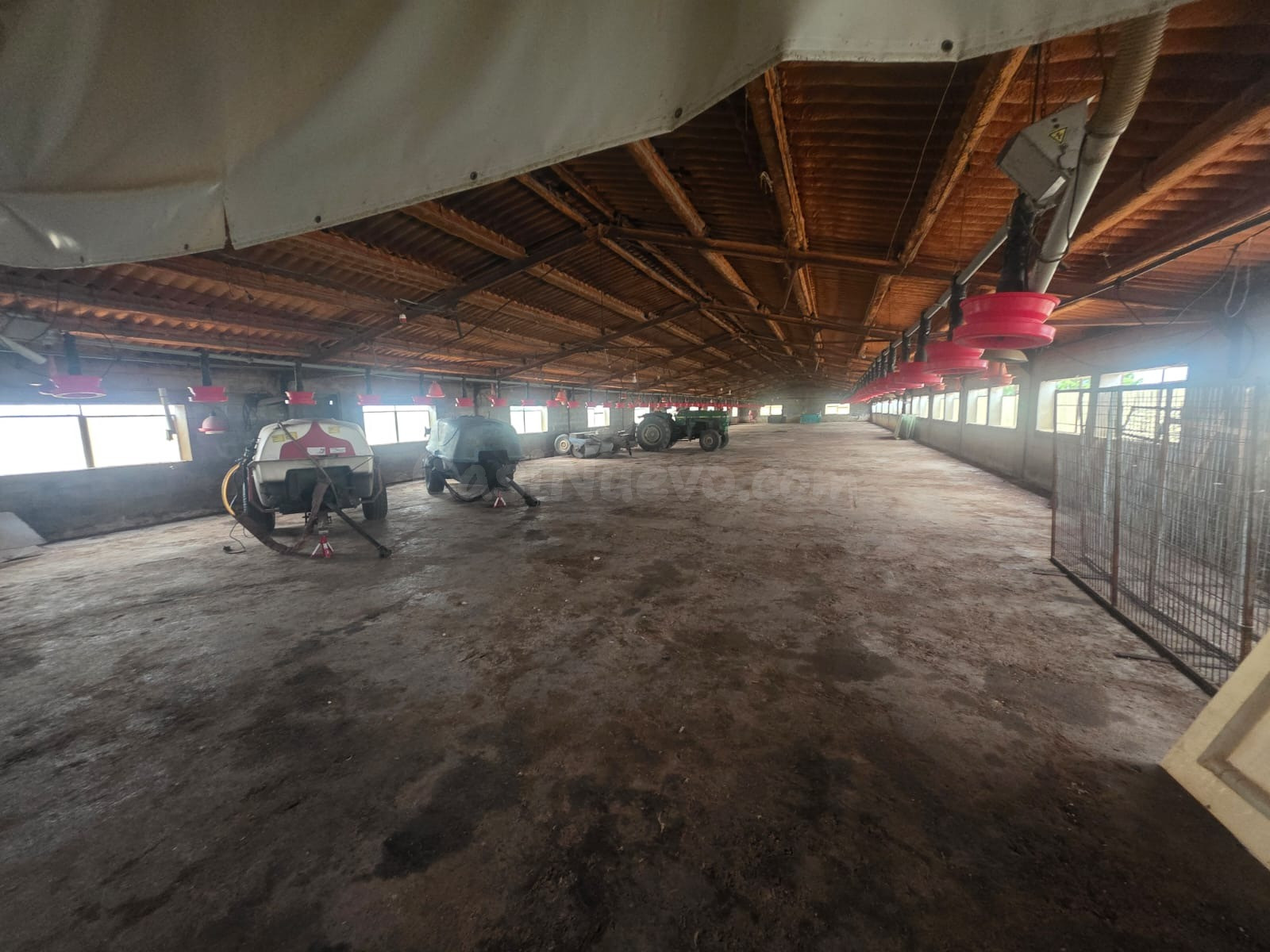 Finca rústica excepcional en venta en Santa Bàrbara – Gran p - foto 4