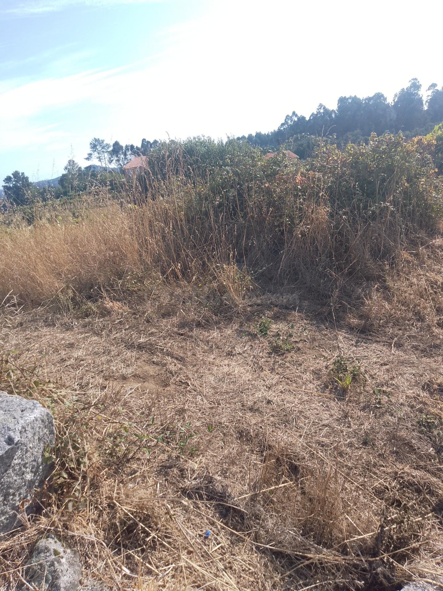 Terreno en Veiga da Vila  -  Meis  (Pontevedra) - foto 2