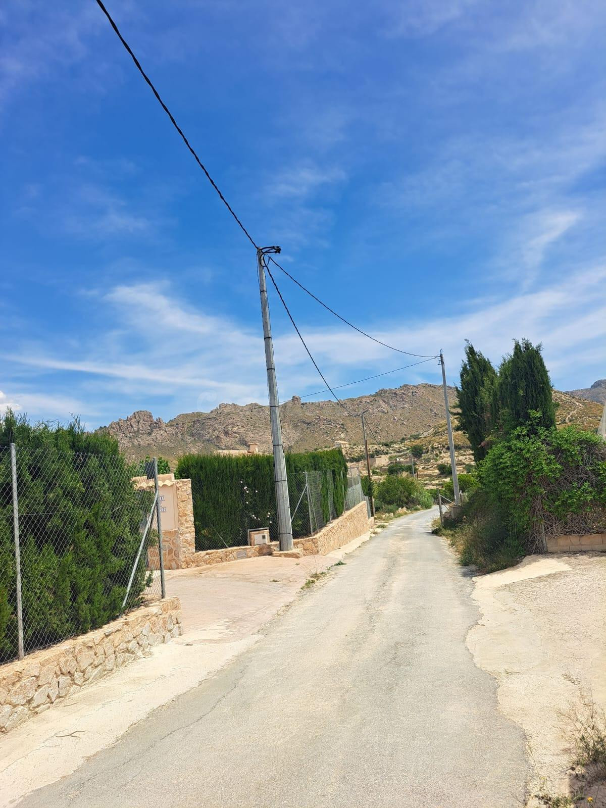 2 parcelas rústicas en Abarán
