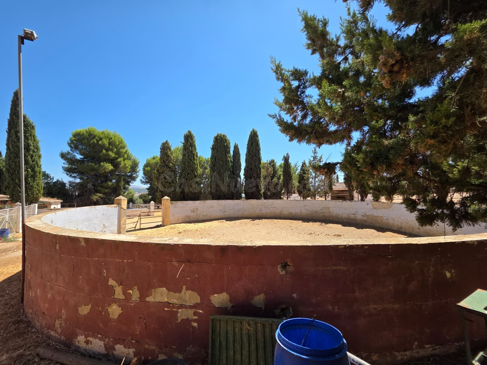 Cortijo Andaluz - foto 3