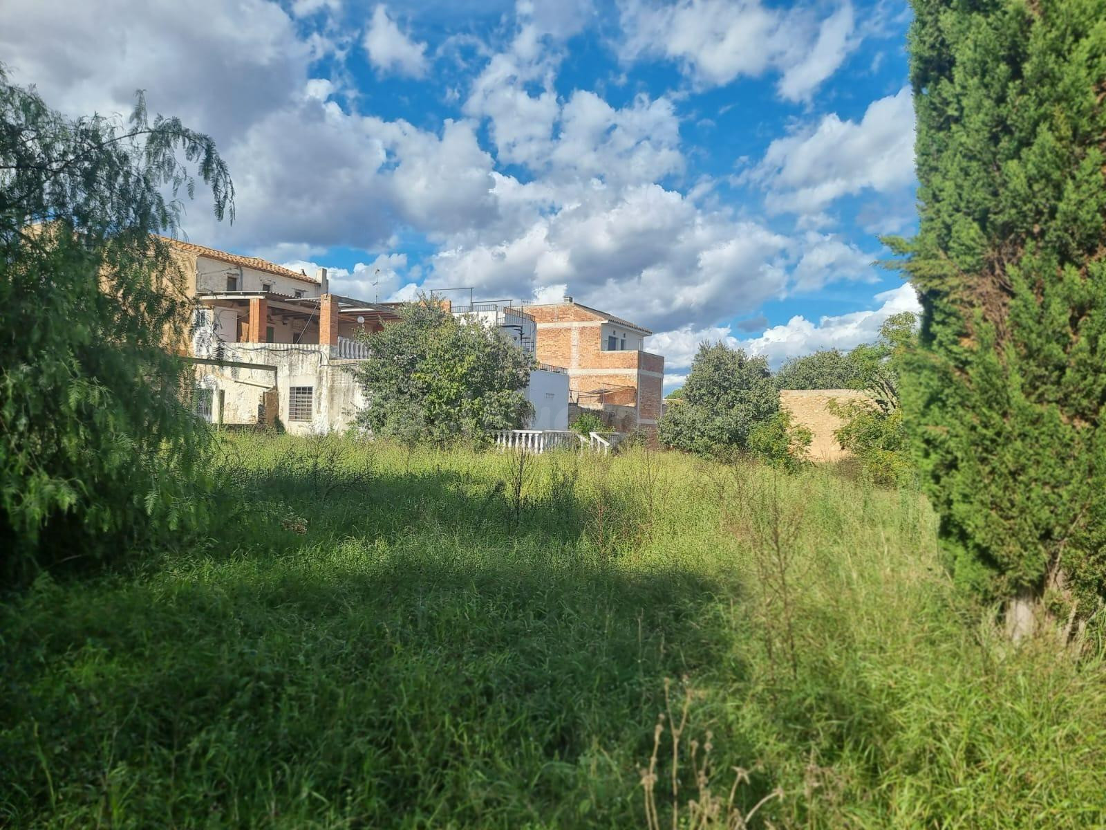 ¡Joyas arquitectónicas con alma! Casa señorial de 1913 con 4.100 m2 de parcela y infinitas posibilidades
