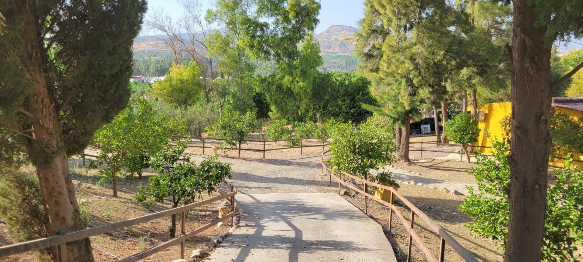 Finca de Autor con 5 Residencias Independientes y Versatilid - foto 5