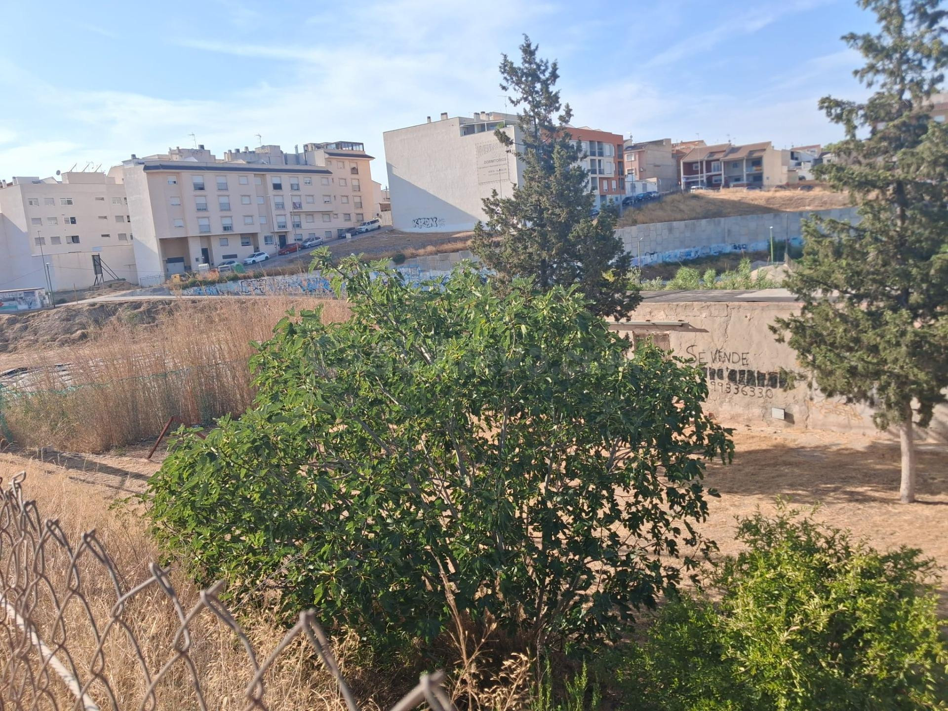 FINCA  URBANA CON NAVE REFORMADA EN VENTA · EL PANDERÓN, MOL - foto 3