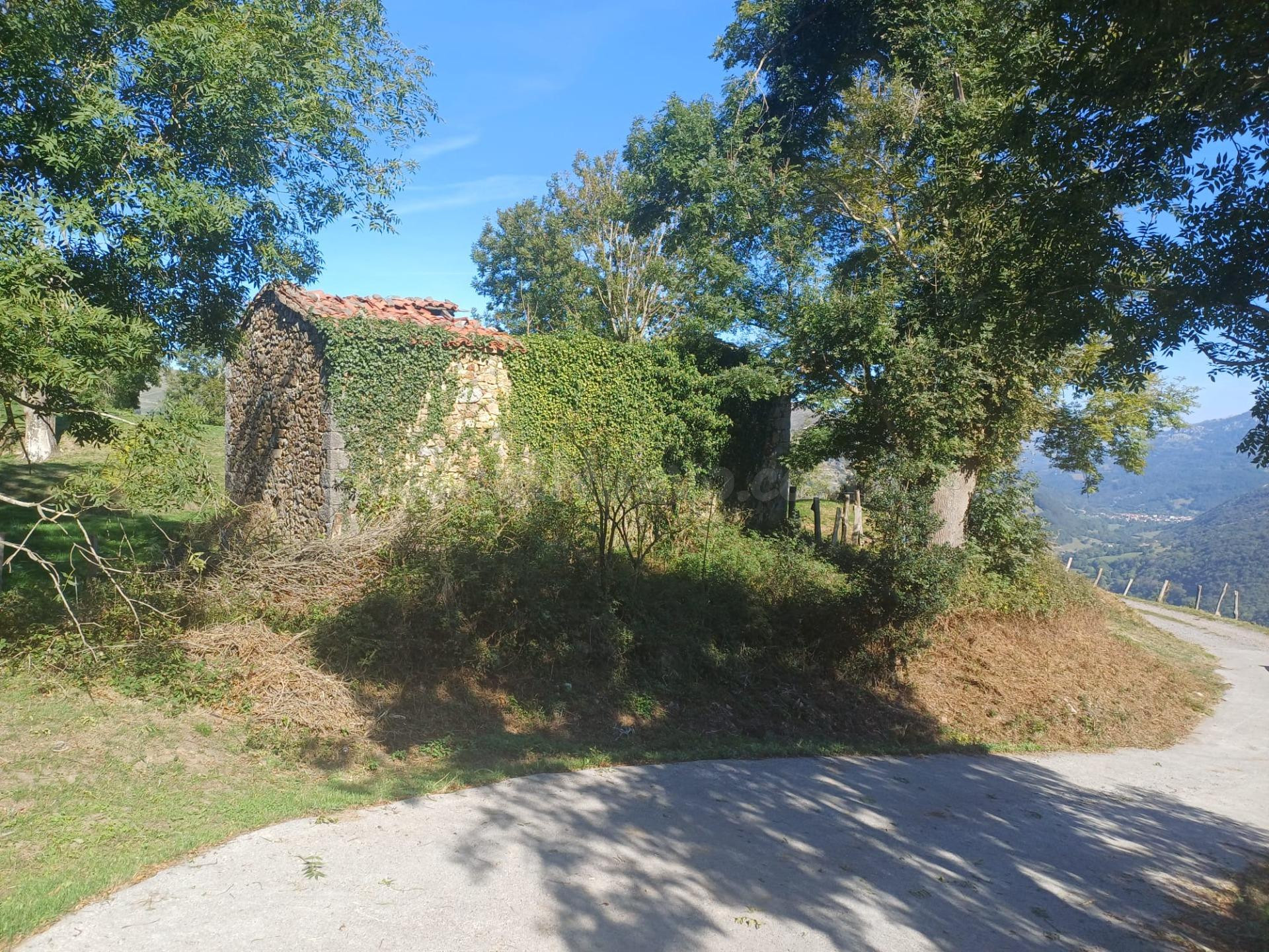 SE VENDE FINCA Y CABAÑA EN BUSTABLADO DE ARREDONDO (CANTABRI - foto 5