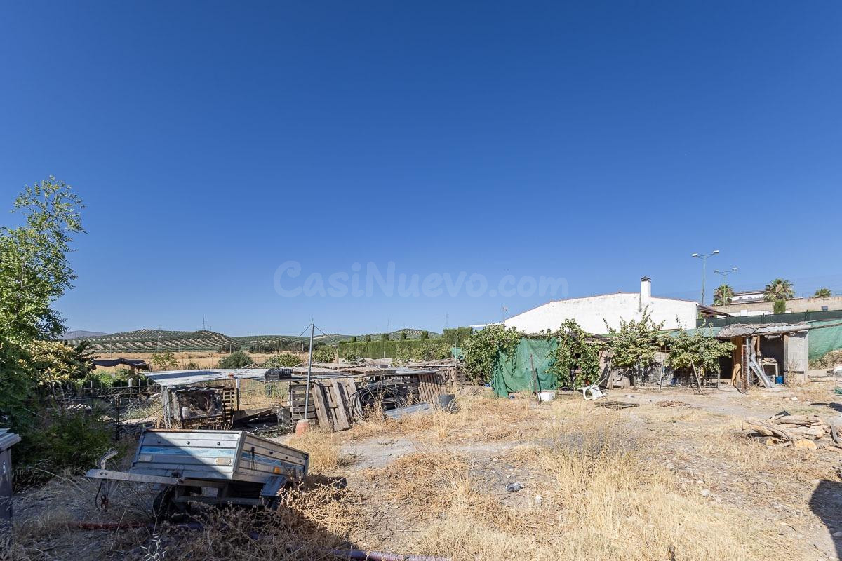 Terreno rústico de 1.300 m2 en Pinos Puente – Con caseta de madera y a 15 min de Granada