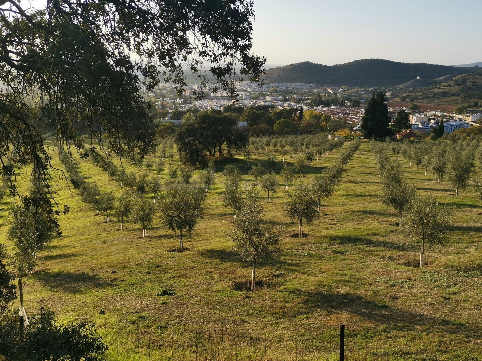 Excepcional finca en el Parque de la Subbética. - foto 4