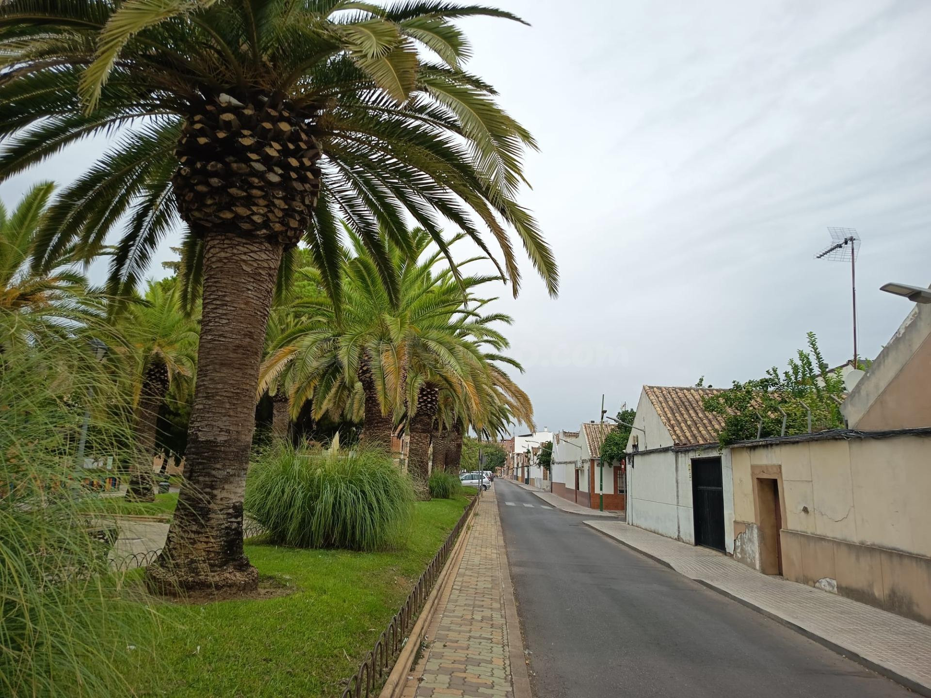 Oportunidad de solar urbano en zona Cañero - foto 2