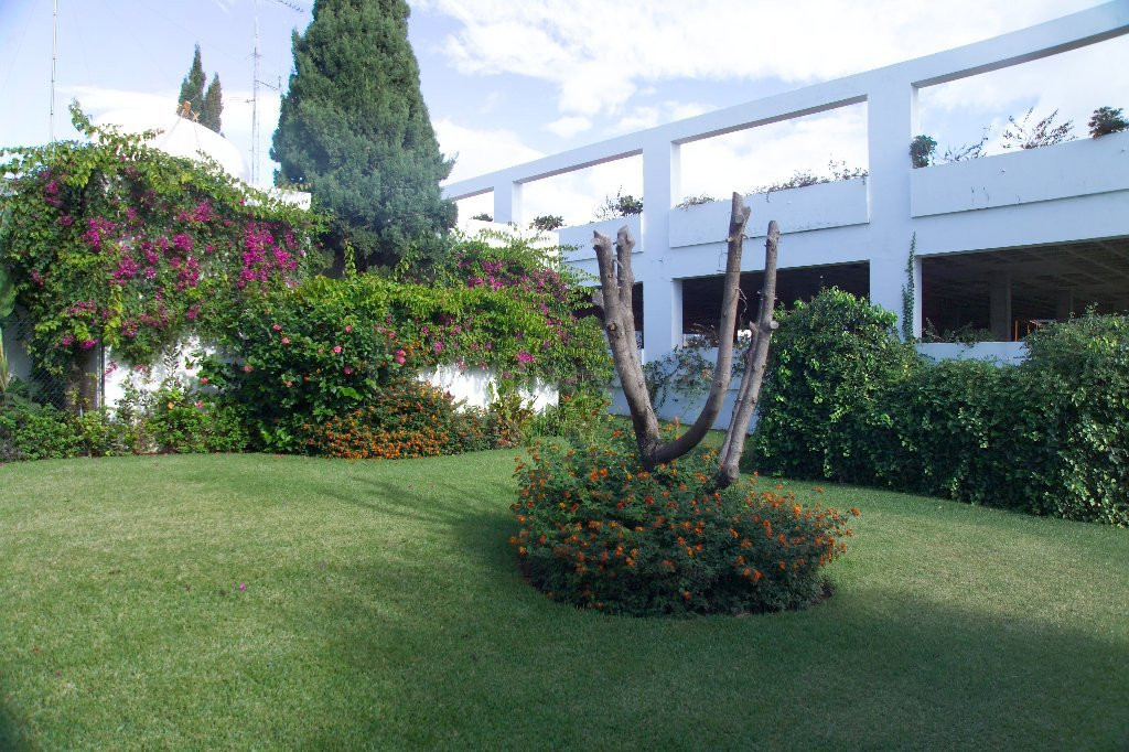 Negocio 5000m² en alquiler - Costa Del Sol - foto 3