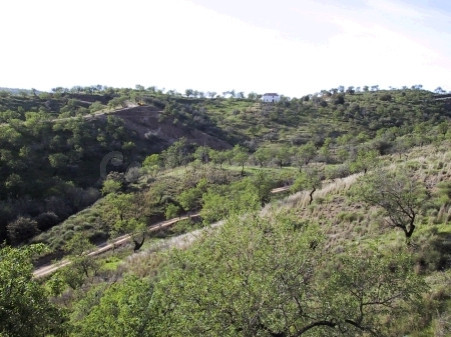 Parcela en venta - South of spain