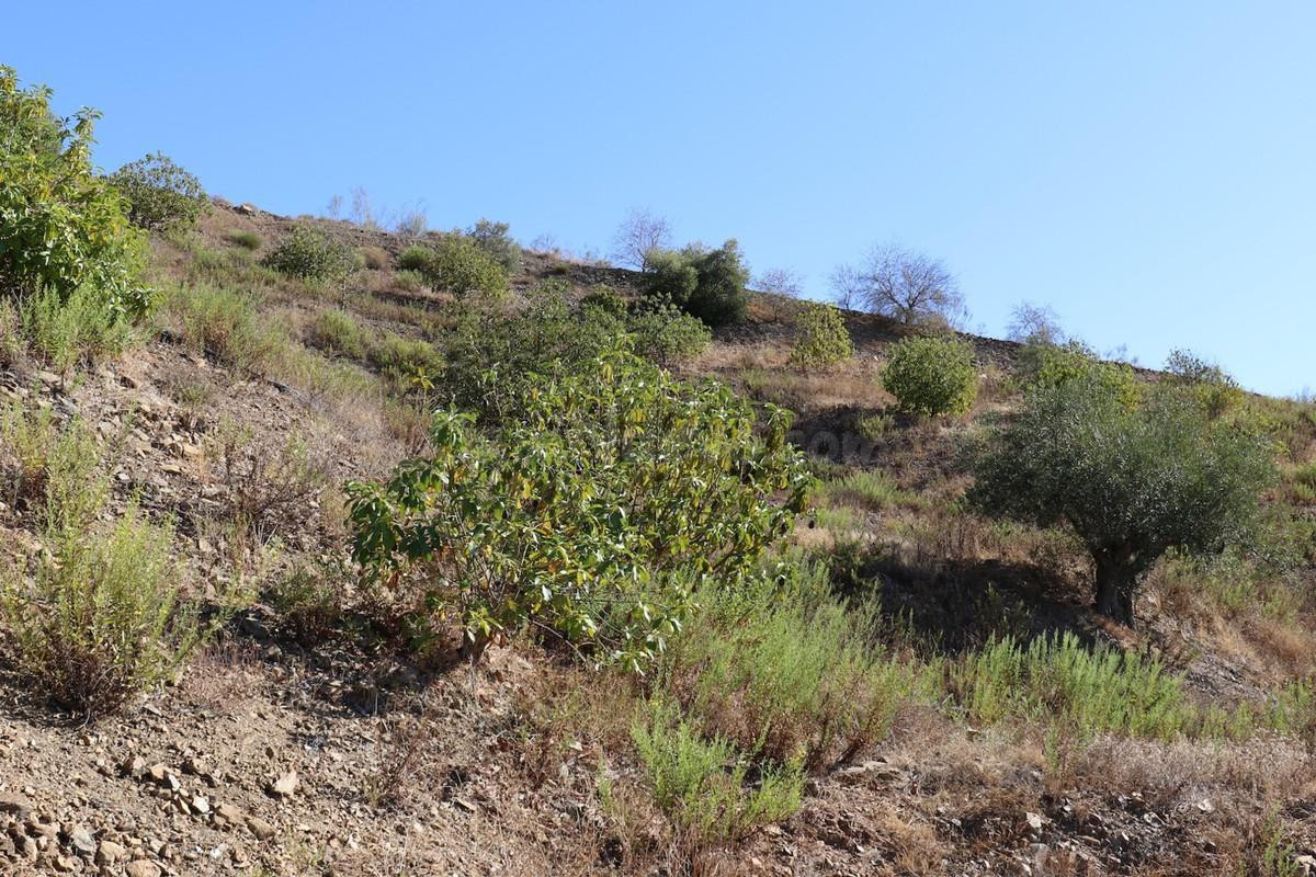Parcela 60m² en venta - Alora pueblo - foto 4