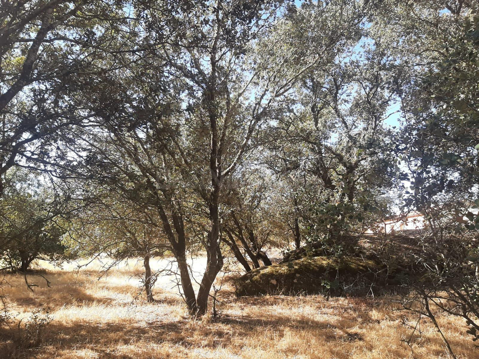 Preciosa parcela en el pantano de Valdesalor