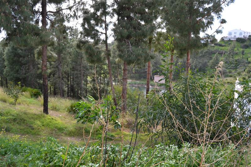 Parcela en venta - Riviera del sol