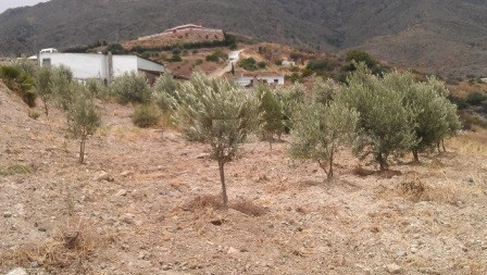 Parcela en venta - Costa Del Sol