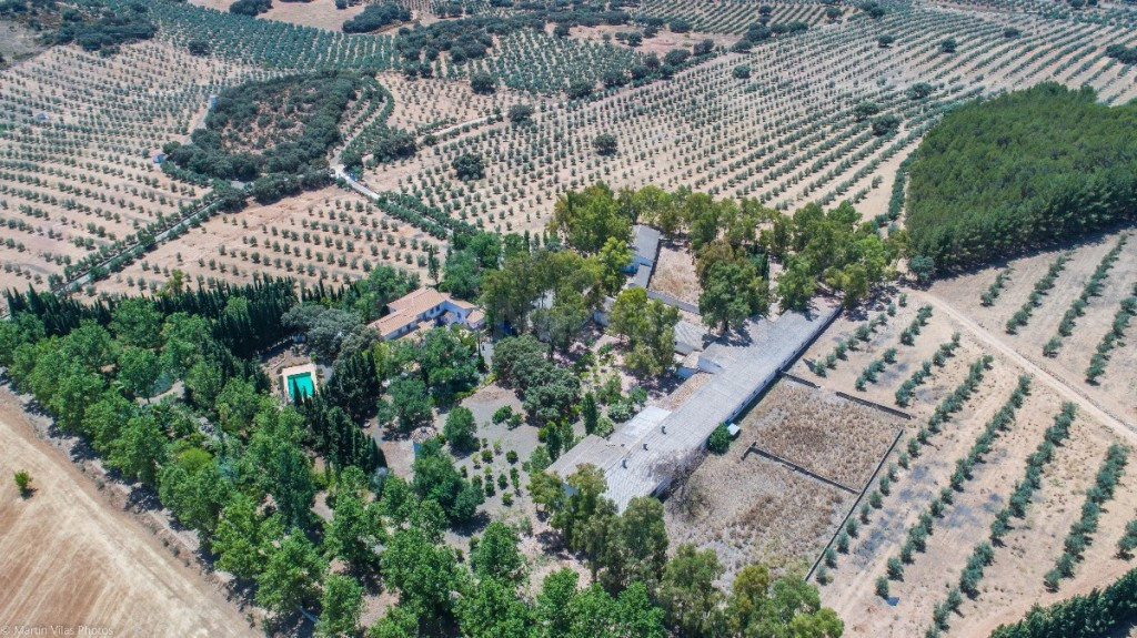 Finca rústica 7 habitaciones 3650m² en venta - Andalucia