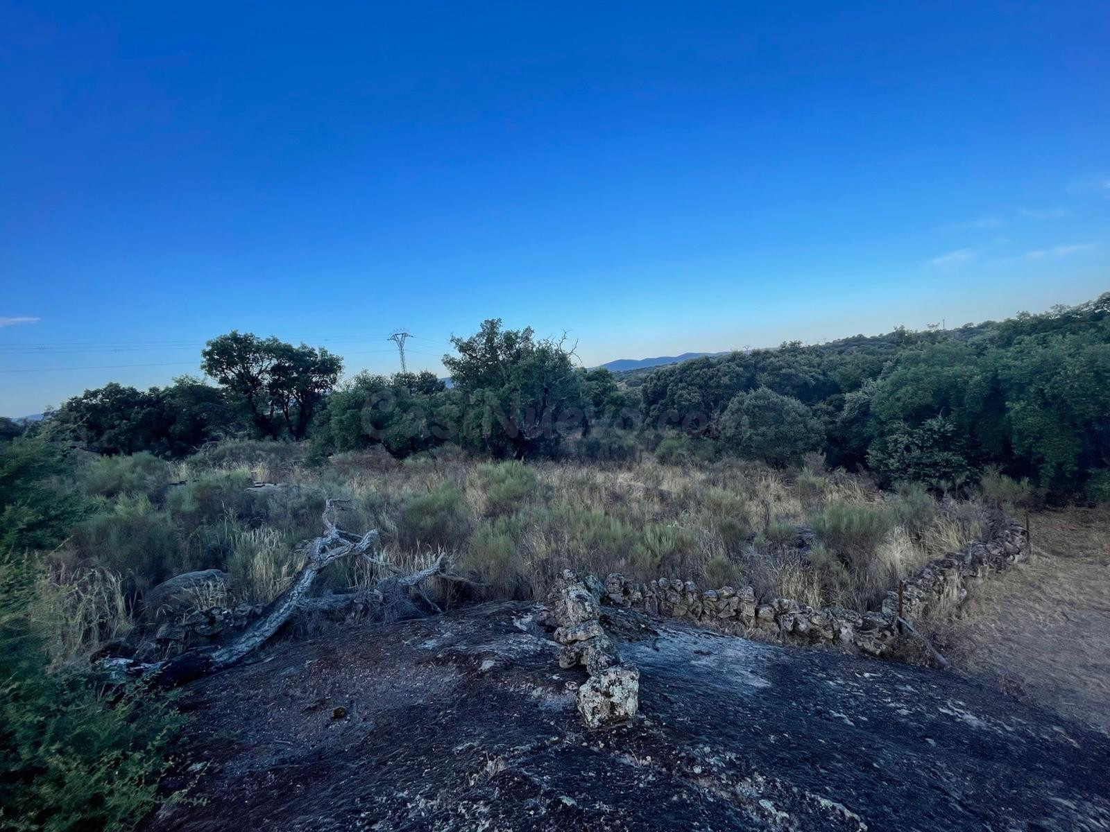 TERRENO RUSTICA CON ENCINAS EN ALDEA DEL CANO