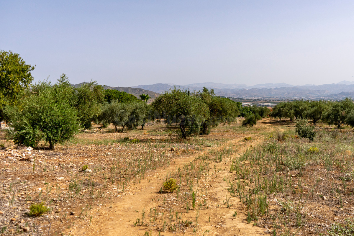 Parcela en venta - Arroyo de la Miel