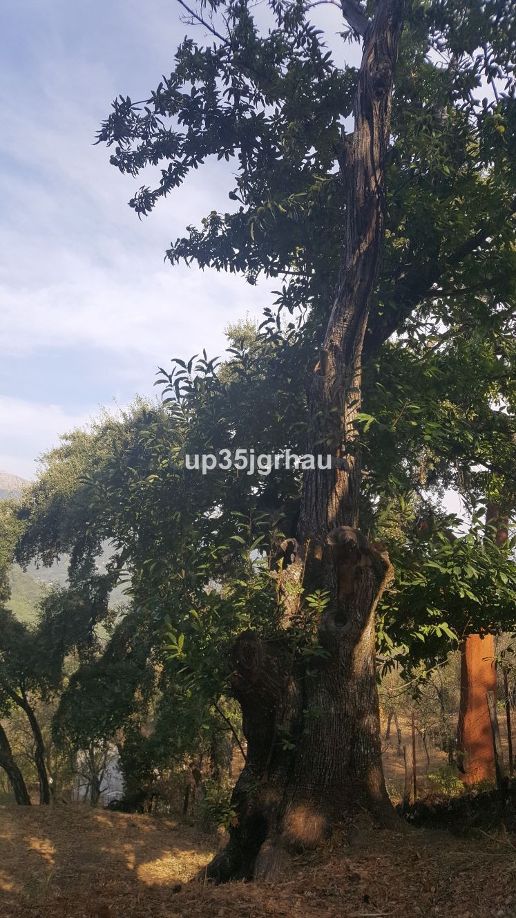 Parcela 50m² en venta - South of spain
