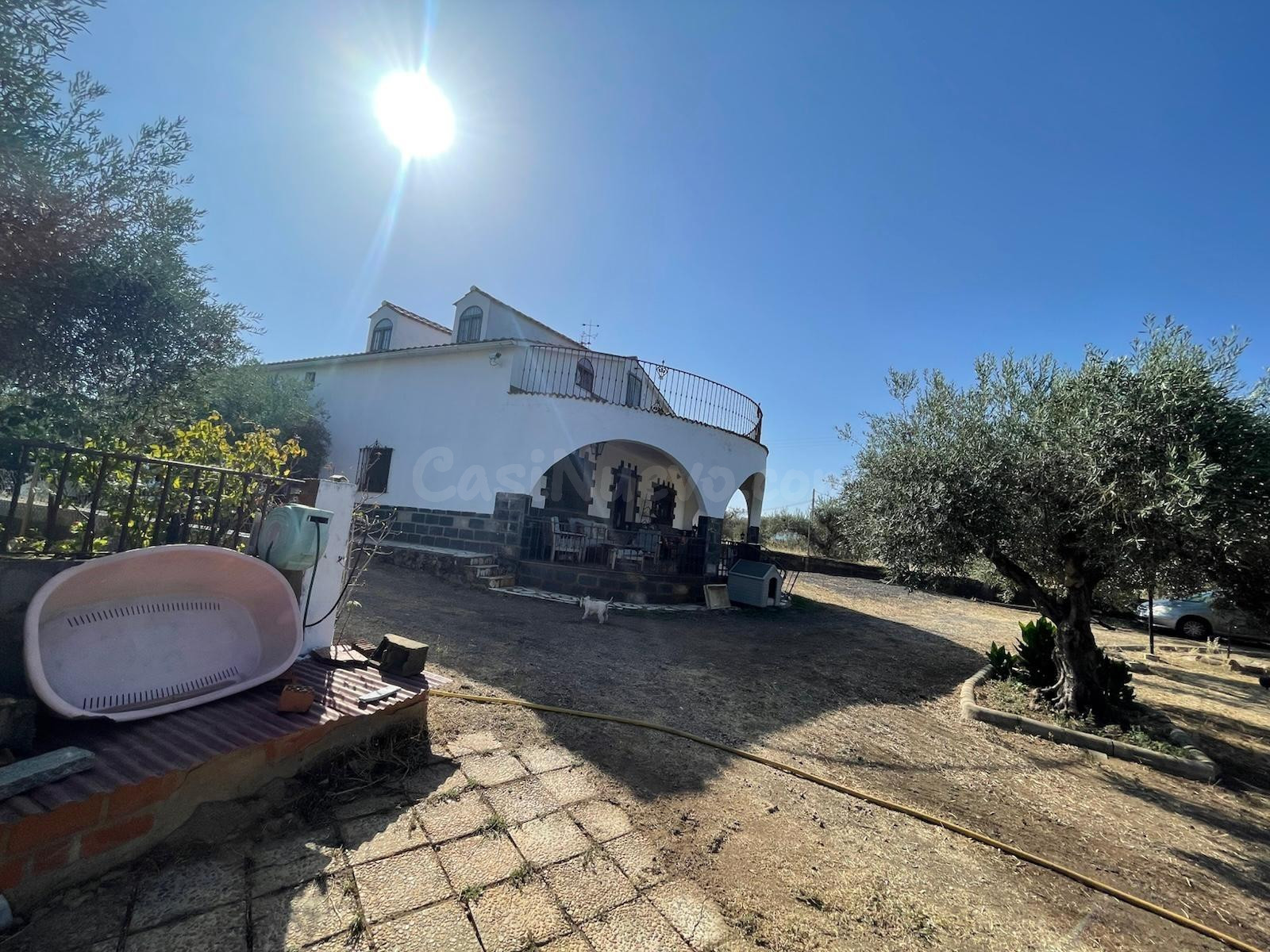 CASA DE CAMPO CON OLIVOS Y 1 HECTAREA EN ALCUESCAR