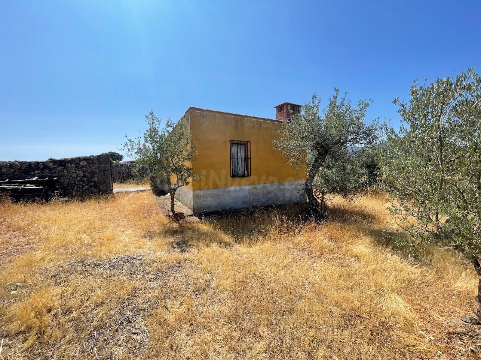 OLIVAR EN VALDEFUENTES CON CONSTRUCCIÓN DE UNOS 25 METROS CUADRADOS