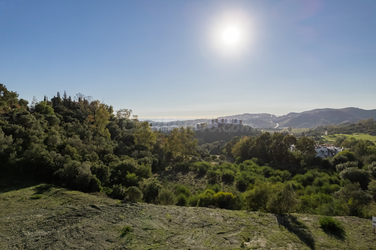 Parcela 856m² en venta - El Madroñal