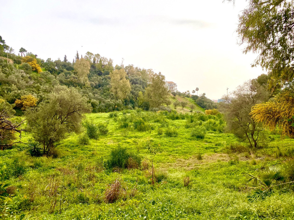Parcela 1000m² en venta - El Madroñal