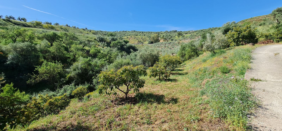 Parcela 90m² en venta - South of spain - foto 3