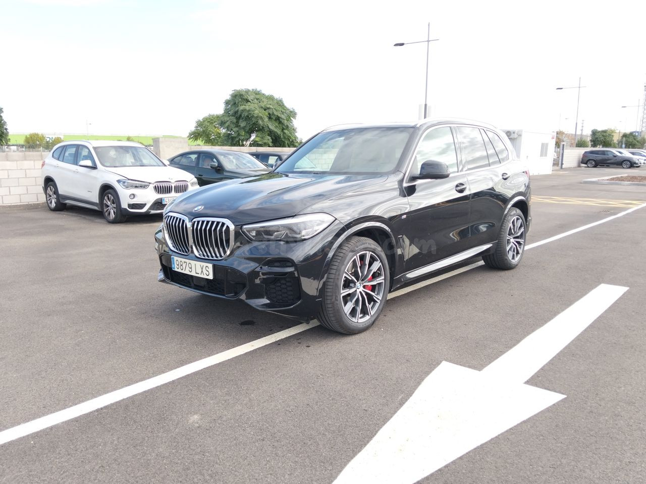 BMW X5 xDrive30d 210 kW (286 CV)
