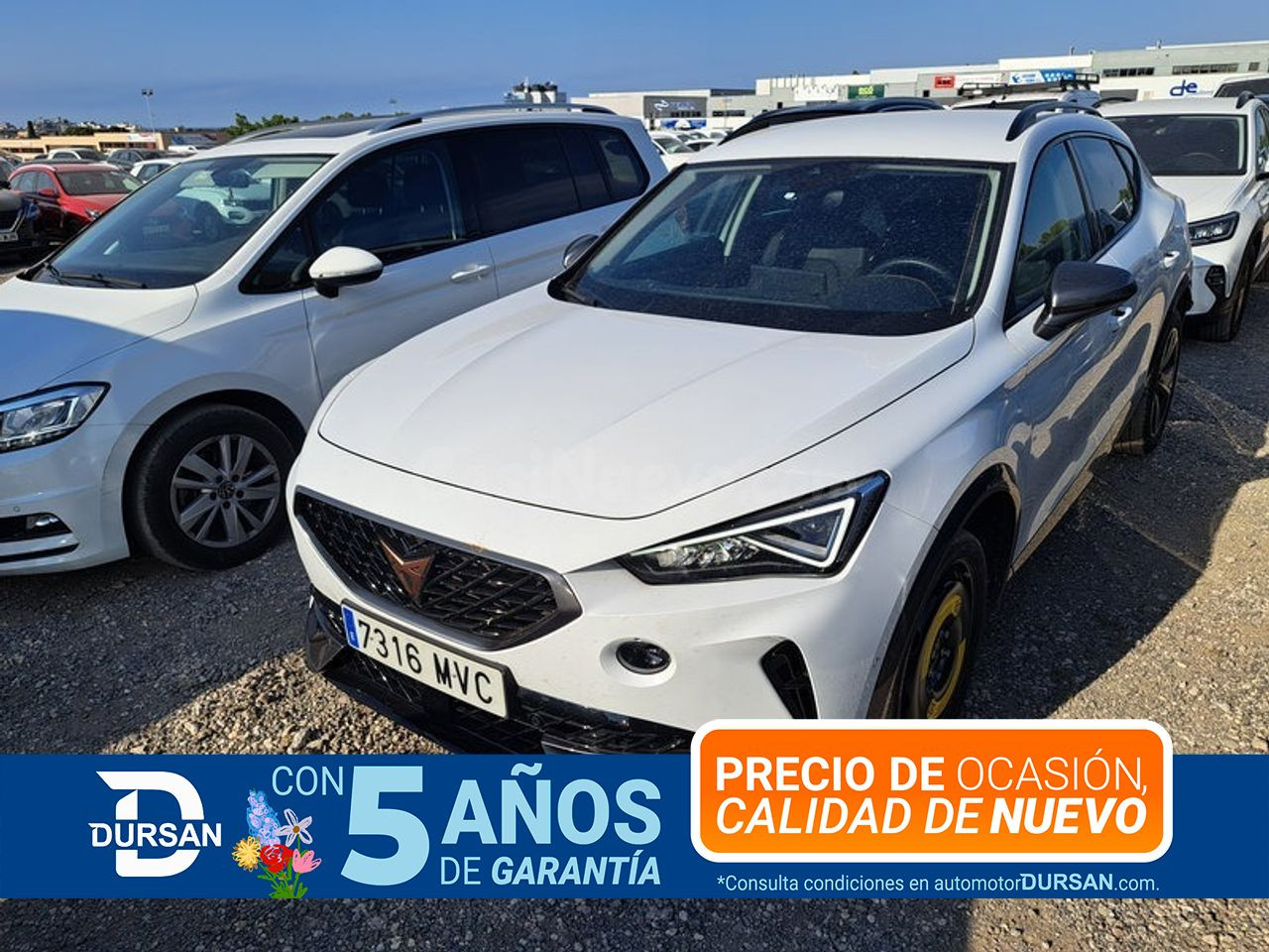 Cupra Formentor 1.5 TSI 110kW (150 CV) DSG