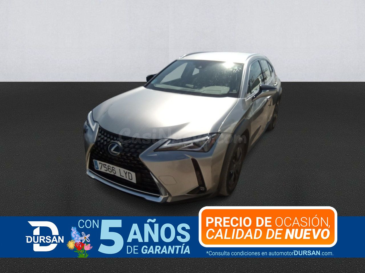 Lexus UX 2.0 250h Business