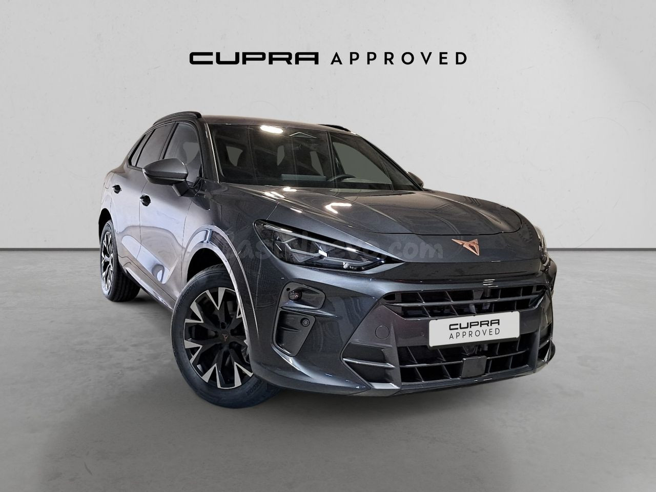 Cupra Terramar 1.5 ETSI 110KW DSG 150 5P