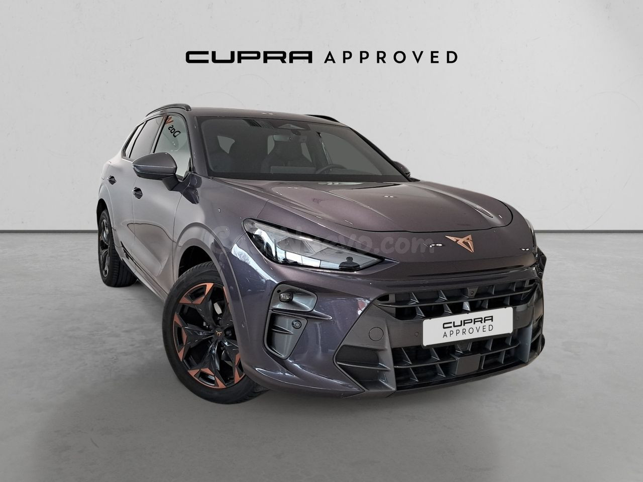 Cupra Terramar 1.5 eTSI 150 CV DSG