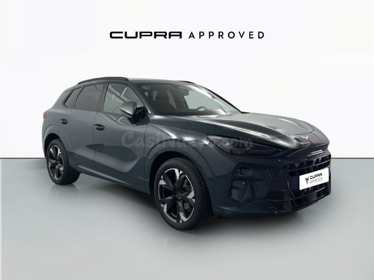 Cupra Terramar 1.5 eTSI DSG 110 kW (150 CV)