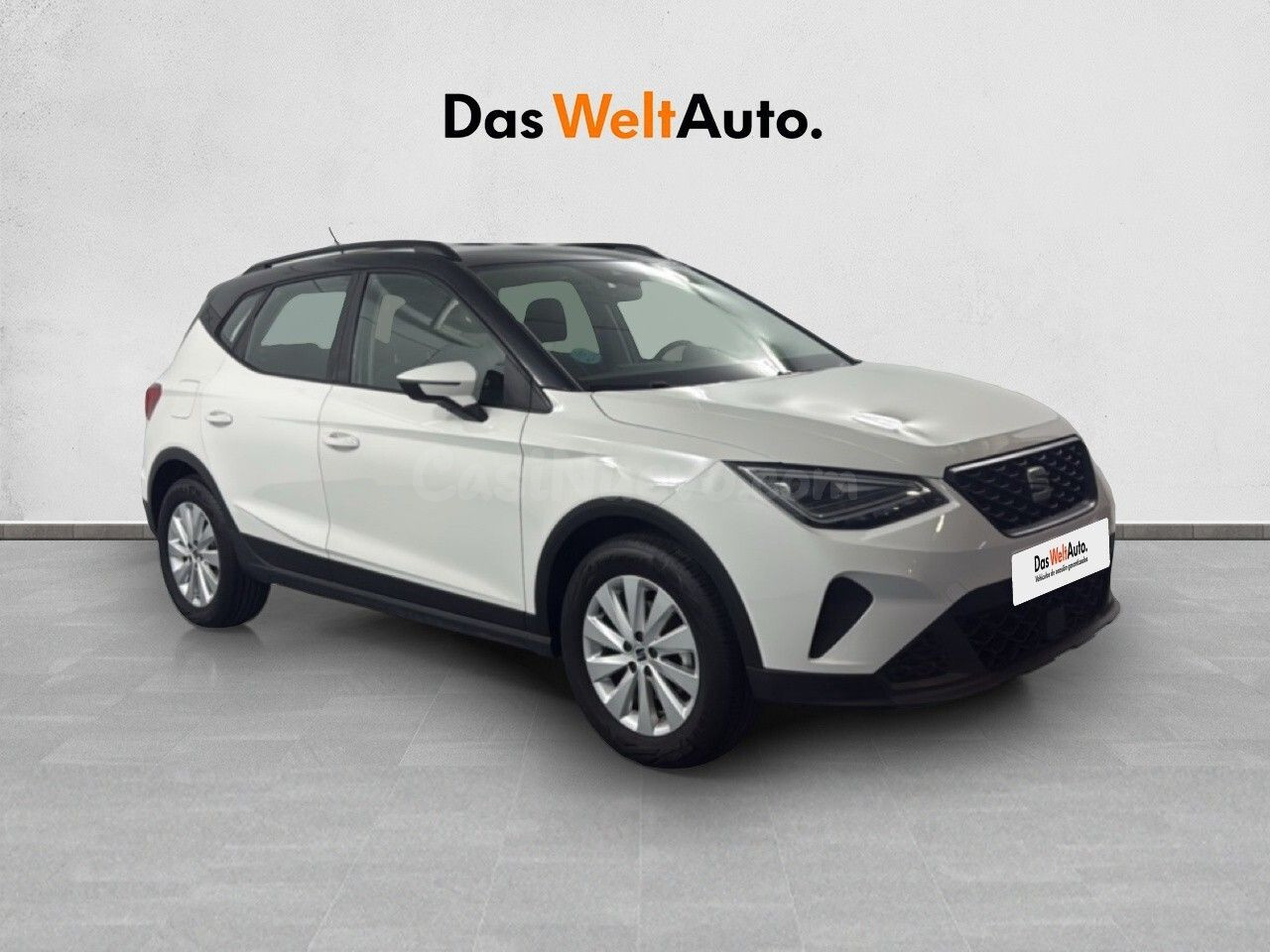 Seat Arona 1.0 TSI Style Special Edition 85 kW (115 CV)