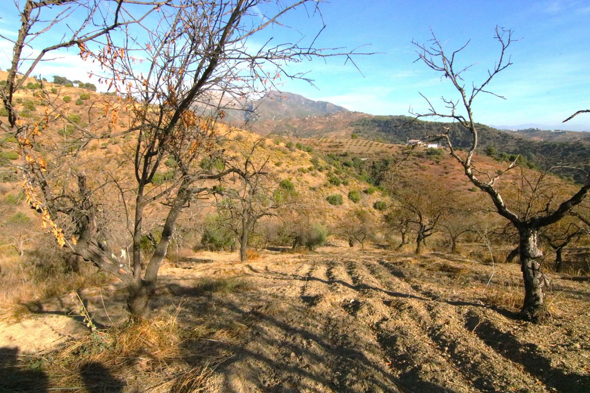Parcela en venta - South of spain