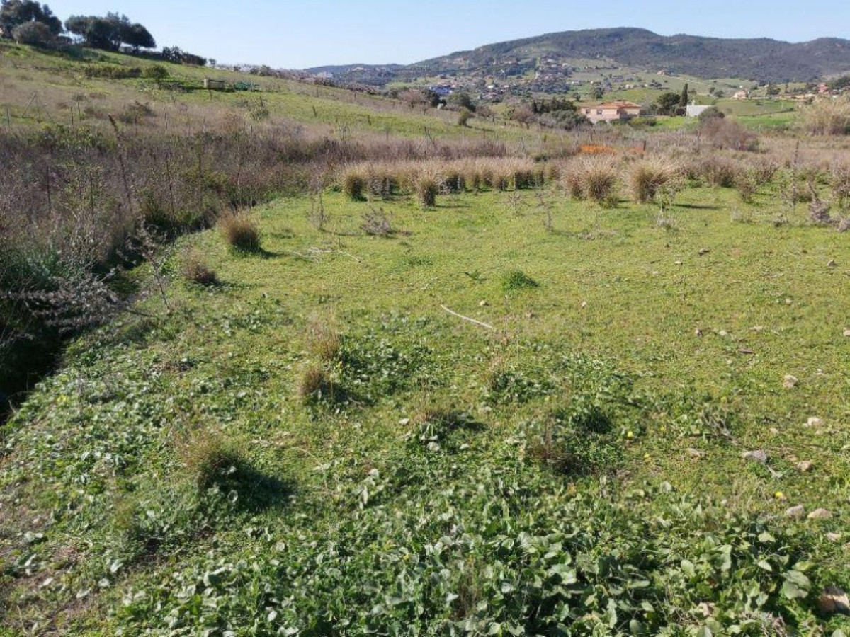 Parcela en venta - Costa Del Sol
